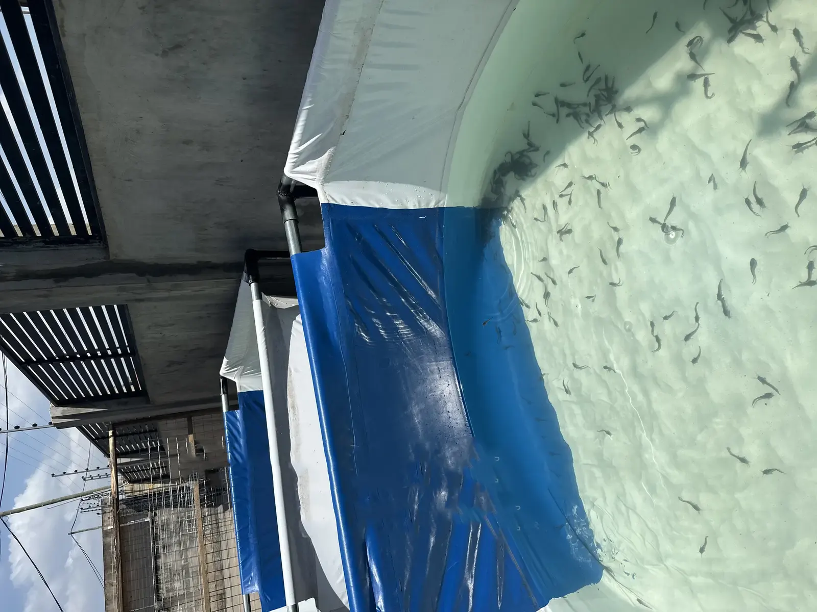 Super Strong Tarpaulin Fish Ponds